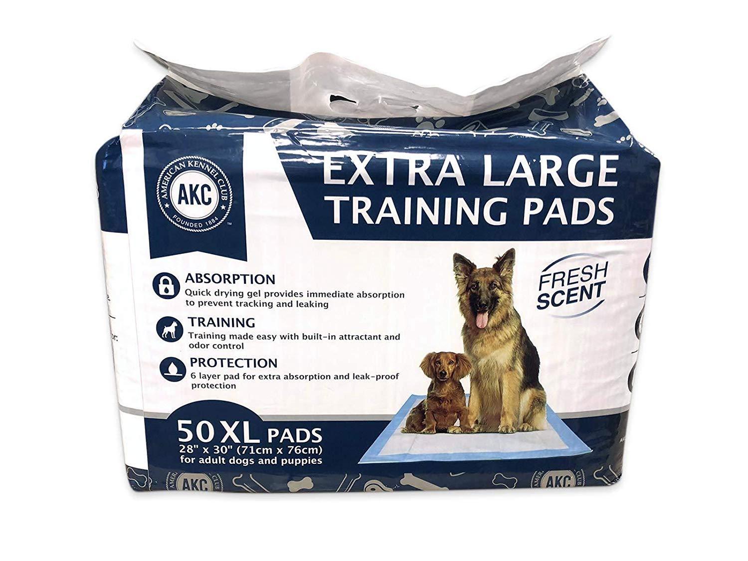 pee pads petco