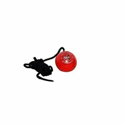 CW Synthetic EVA Cricket Hanging Practice Ball For Batting Shots Skills Training - Picture 6 of 6