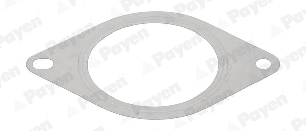 Payen Dichtung Abgasrohr FüR Renault Kangoo Express FW0/1_ 1.5 Dci 85 FC0/1_-image