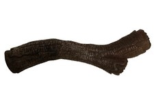 Buy One/Get One Free 8  Gourmet Style Strong Chew Stick For Dogs. New Nylabone
