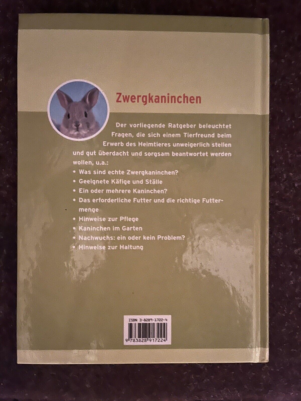 Bild 2 von 3