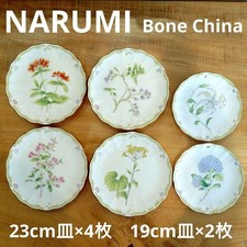 [Neufs et non utilisés] Lot de 6 assiettes à viande en porcelaine peinte en...