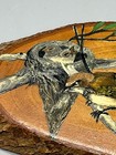 Foto 2 di 11
