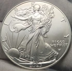 2023 American Silver Eagle - 1 Troy Oz .999 Fine Silver Bullion - CH-33a