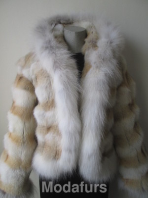 Women's Sz 6 New Coyote Fur Coat Jacket with White Hood & White