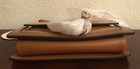 Bild 6 von 12