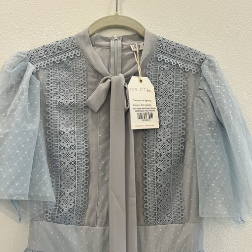 Ivy City Women Dress Small Blue Chiffon Swiss Dot Tie-Neck Lace Short Sleeve - Picture 11 of 11