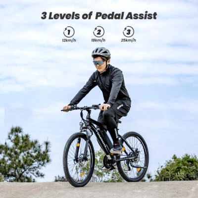 Touroll U1 26" Pneumatico Fuoristrada Bici Elettrica MTB 250W 13Ah Batteria Rimovibile