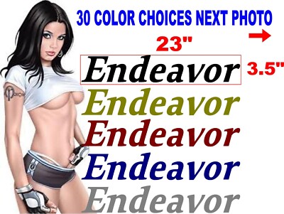 ENDEAVOR RV DECAL CAMPER DECALS 30 COLOR CHOICES message for other options