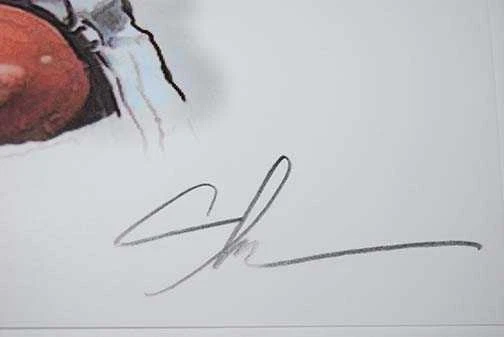 罕见 Jason Witten 牛仔艺术幻影印花 12x18 LE 50 — 第 4/4 张图片