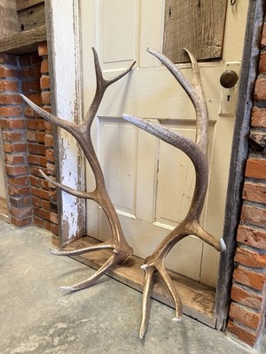 6x6 Set Of Elk Antlers ~ Elk Sheds ~ Barn /Cabin Decor