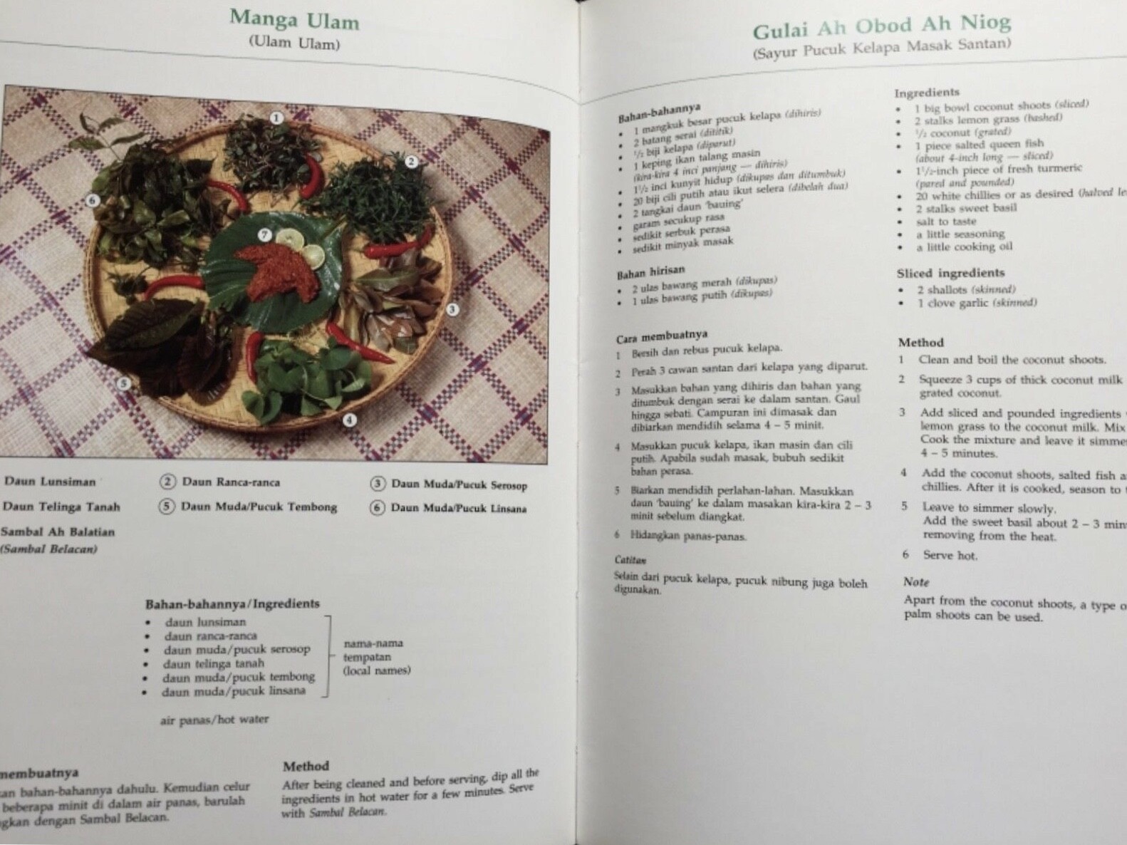 Irranum Malaysian Cookbook Minority Group Malay Malaysia 9813001194 Ebay