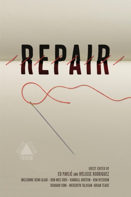 Repair by Ed Pavlic (Paperback Book)