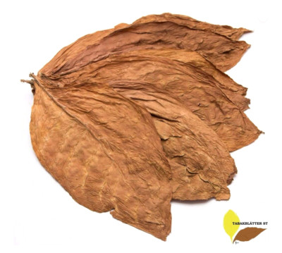 Tabakblätter Burley 500 g-ERNTE 2025-Top Qualität-Tabak-Rohtabak-Duft-Deko
