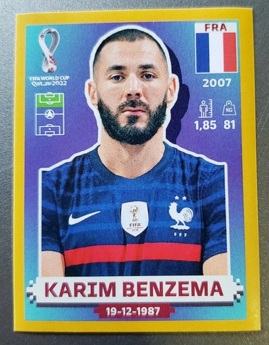 Panini FIFA World Cup QATAR 2022 Gold (Exclusive) Parallel - Picture 79 of 238