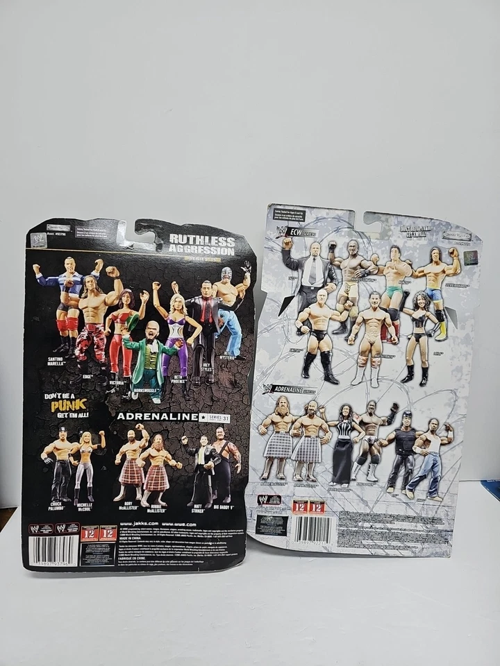 Борьба Бет Феникс и Лейла - Изображение 2 из 2