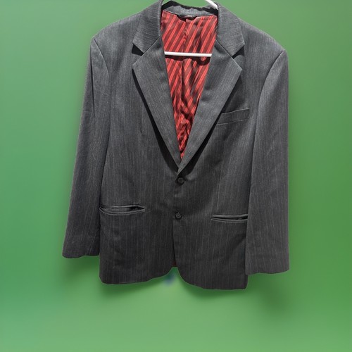 Brioni Vintage Bangkok Gray Pin Stripe Jacket Men 42/43L? 2B See Photos - Picture 1 of 24