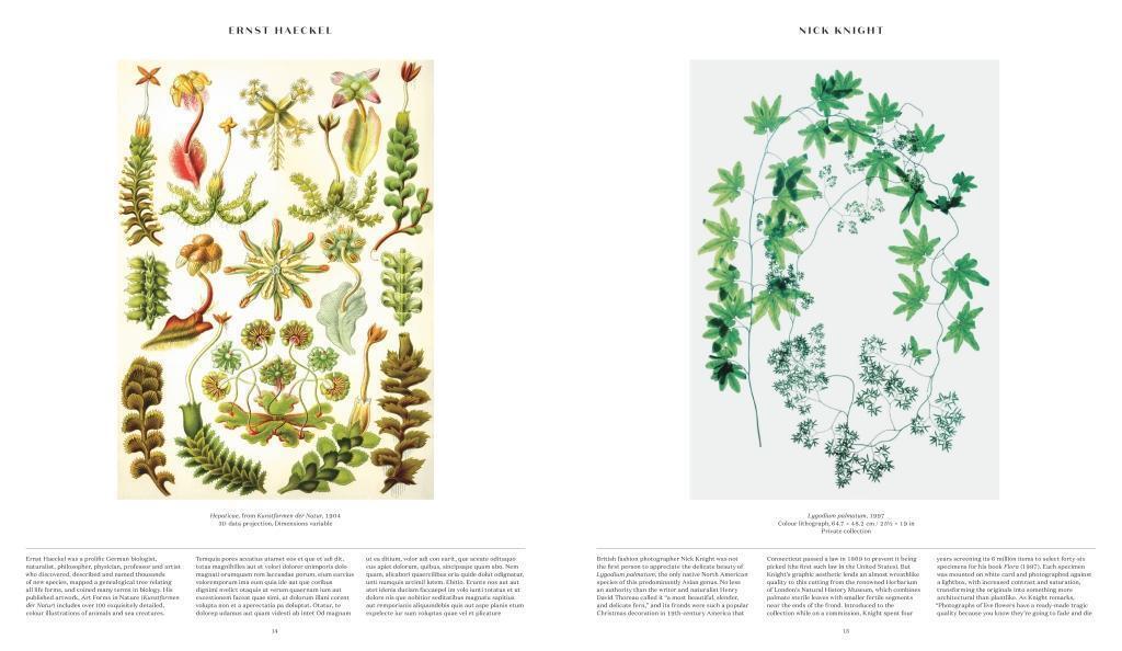 Thumbnail - Plant: Exploring The Botanical World | Phaidon Editors | Buch | 352 S.