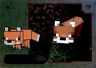 Bild 119 von 236