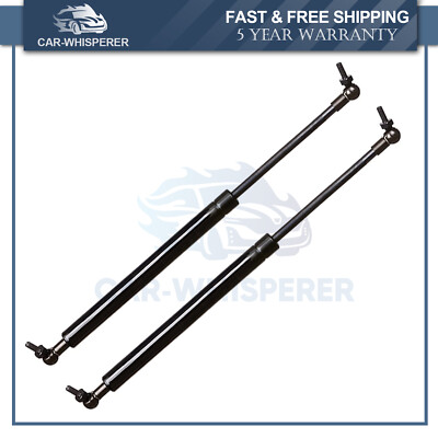 2Pcs Tailgate Lift Supports Shocks Rear Trunk For 01-07 Dodge Grand Caravan 4535