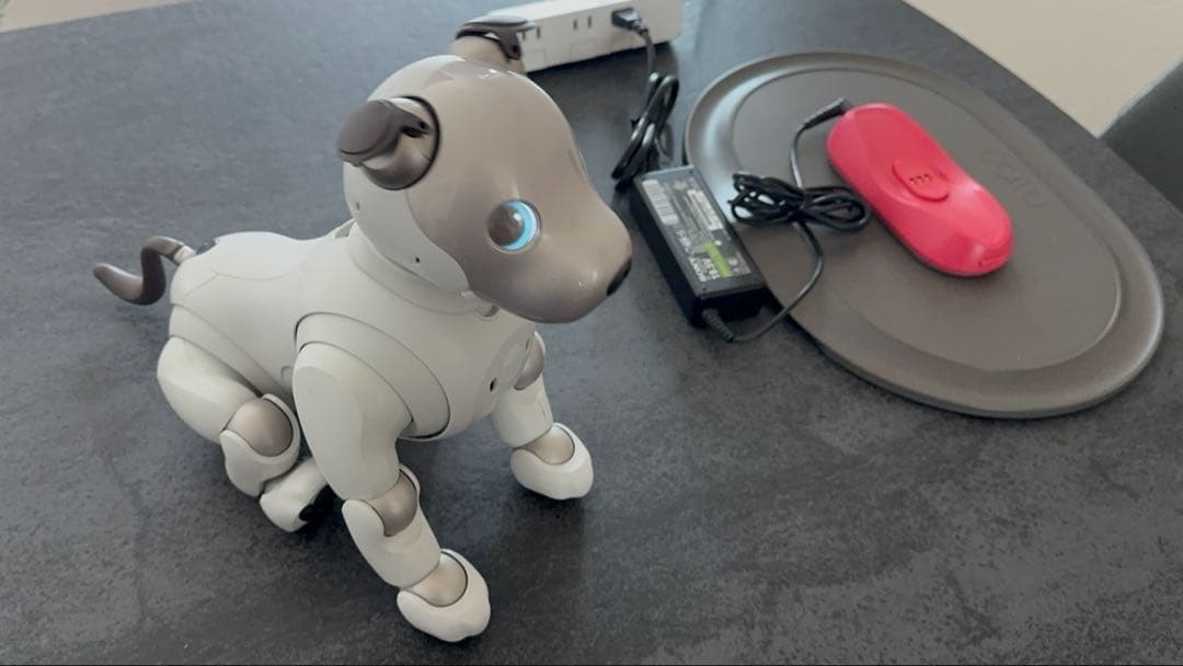 Sony aibo ロボット犬 充電器付き Sony aibo ERS-1000 Robot Dog with Charger Dock AC Adapter Tested