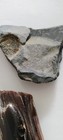 Untested/U searched Rocks,Minerals, Fossils — photo 3