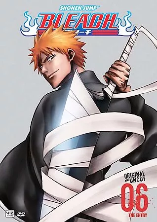  Bleach Uncut Set 24 (DVD) : Noriyuki Abe: Movies & TV