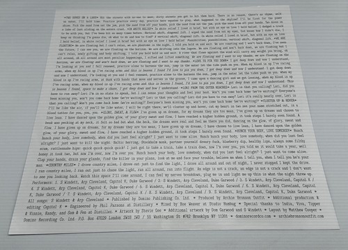 Archie Bronson Outfit – Wild Crush Domino – WIGLP333 - 2014 Indie Rock Vinyl LP - Picture 4 of 6