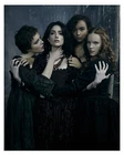 -- SALEM--tv show (Cast) --Glossy 8x10 Photo