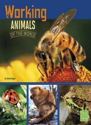 Working Animals of the World (All About Animals),Tammy Ann Gagne