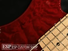 Lakland SL55-94 Deluxe Burgundy Translucent Bass Maple Fingerboard Used