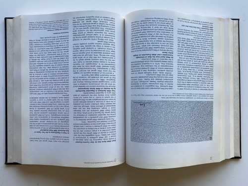 CELL : Volume 8 No. 1-4 : May - August 1976 : Medical Journal : UW GENETICS - Imagen 13 de 15