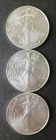 Lot of Three 2025 $1 American Silver Eagle Dollars