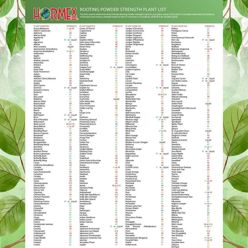 Polvo de enraizamiento Hormex #1, paquete de 3, 8 - para plantas fáciles de enraizar difíciles - IBA Foto 4 de 4