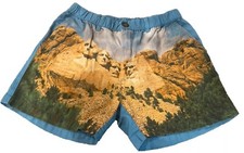 Vintage Chubbies Medium Mount Rushmore Shorts Graphic  Rare  