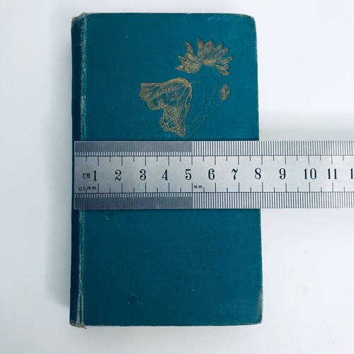 Paul and Virginia by B. De Saint Rare Antique Pierre 1894 Small Book - Picture 21 of 24