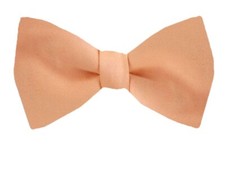 Men's Solid Satin Self Tie Bowtie- NWT