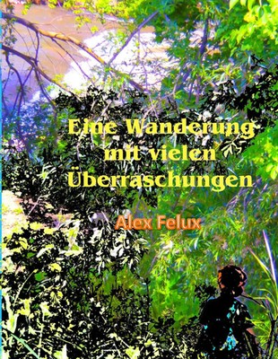 Alex Felux | Eine Wanderung mit vielen Überraschungen | Buch | Deutsch (2014)