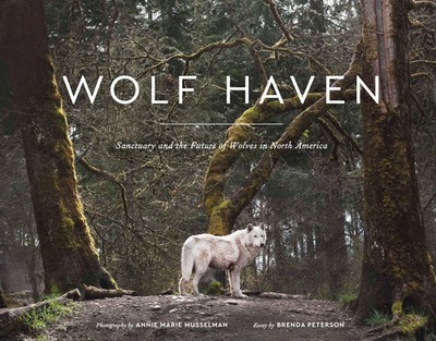 Wolf Haven | Sanctuary and the Future of Wolves in North America | Peterson