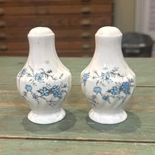 Myott Fine Staffordshire Ware "Forget Me Not" Salt Pepper  Made in England VTG