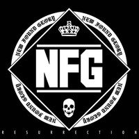New Found Glory - Resurrection - Vinyl Record 12 Record - G3Z