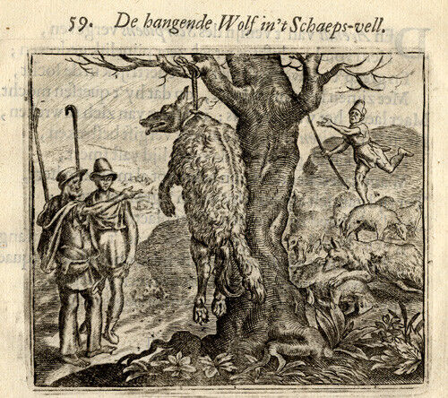 Antique Print-WOLF IN SHEEPSKIN-Vondel-Geraerts-1720 - Picture 1 of 1