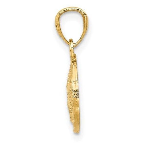 Echt 14kt Gelbgold poliert und strukturiert Sand Dollar Anhänger Charm 17x11mm - Bild 2 von 5