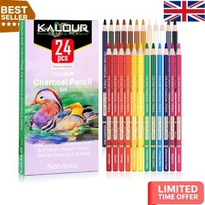 Vibrant 24 Pastel Charcoal Pencils for Artistic Layering & Blending Techniques