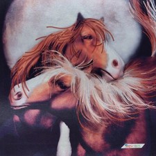 Bead Embroidery Kit Horses Under the Moon DIY Bead Stitching Needlepoint ta-027