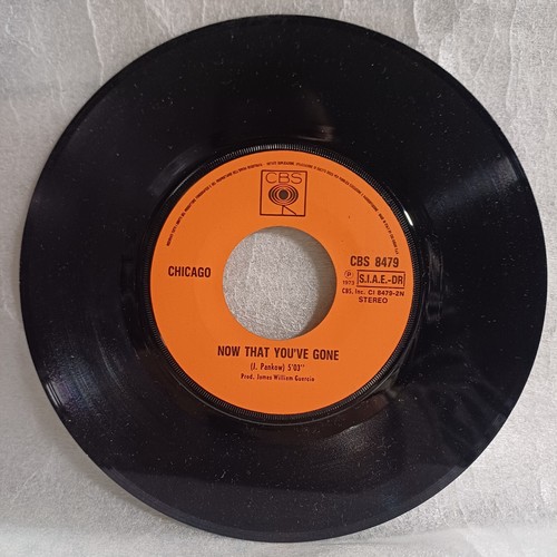 DISCO 45 GIRI CHICAGO DIALOGUE/NOW THAT YOU'VE GONE CBS 8479 ITALIA 1973 - Foto 6 di 10
