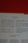 Foto 11 di 18