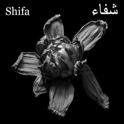 Shifa Ecliptic (CD) Album