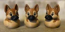 German Shepherd Duck