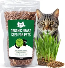 100% Organic Cat Grass Seeds - Cat Grass for Indoor Cats - (Non GMO) 16 oz